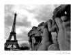 Fotoarts - LizCat